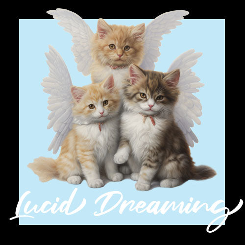 Lucid Dreaming