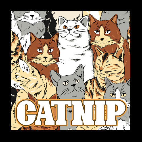 Catnip