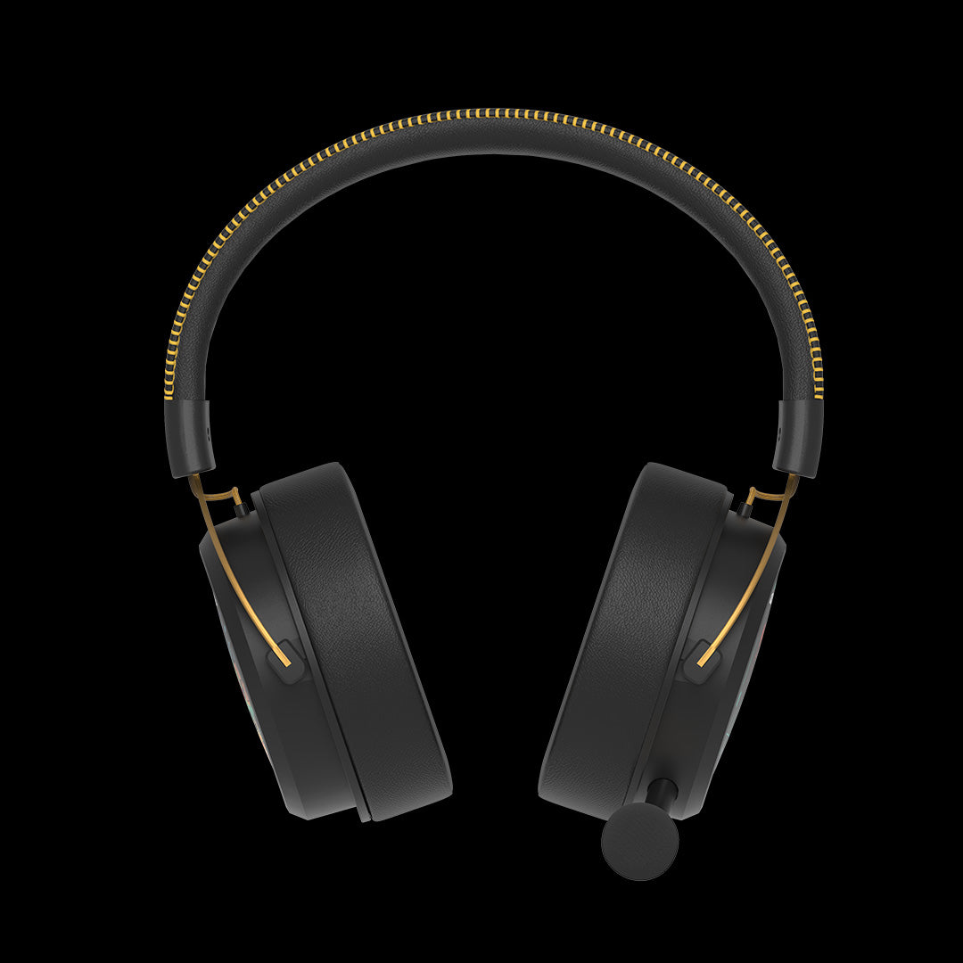 MR595 BT Multi Mode Headset