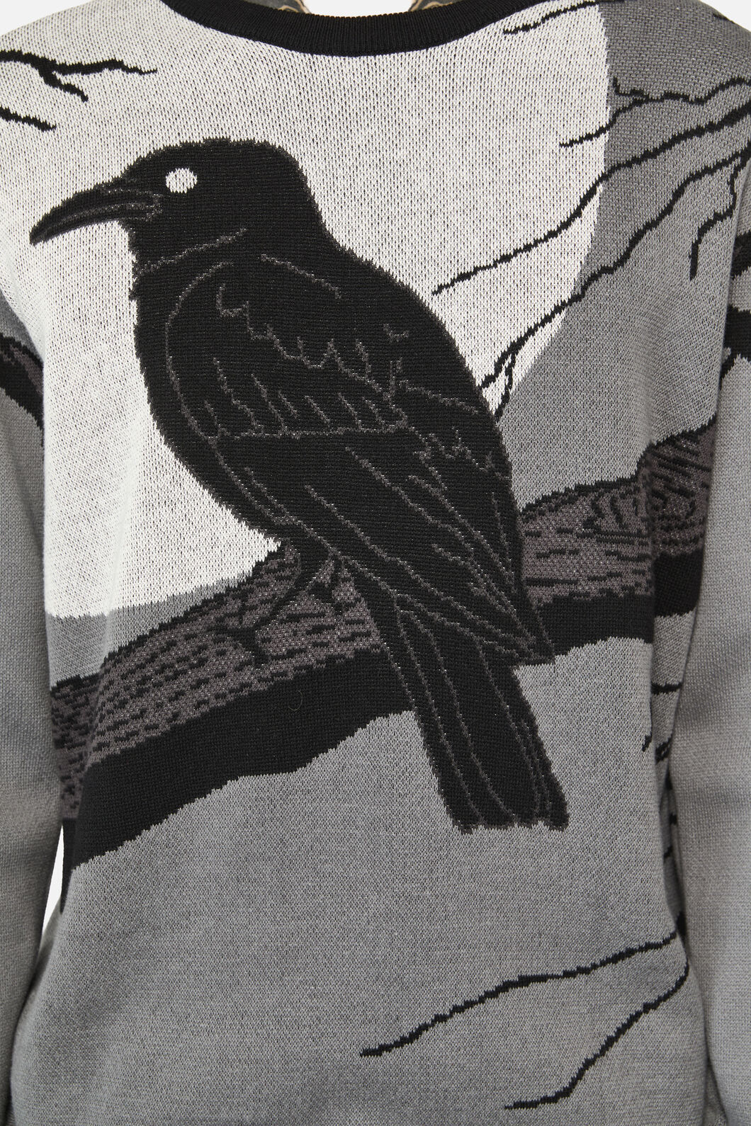 Black Friday - Apollo Crow Scene Knit Jumper - multi