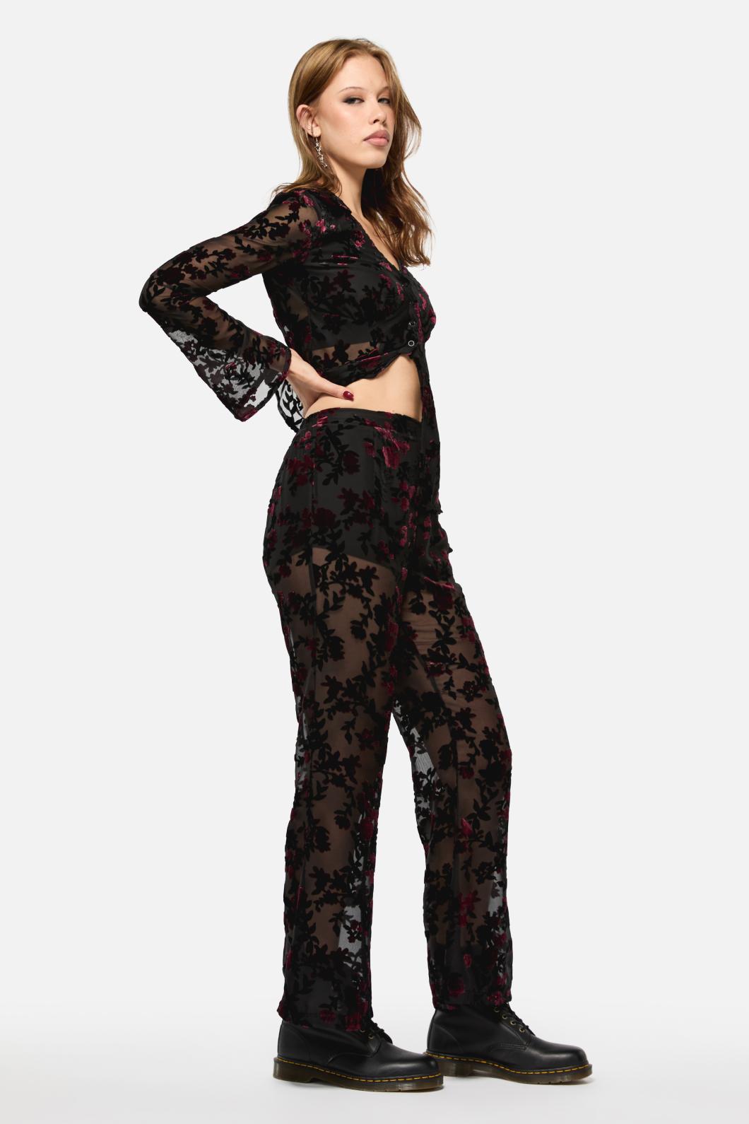 Black Friday - Lush Burnout Velvet Pants - multi