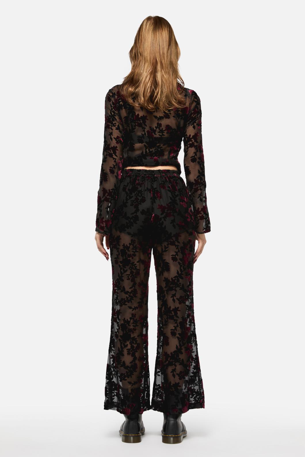 Black Friday - Lush Burnout Velvet Pants - multi