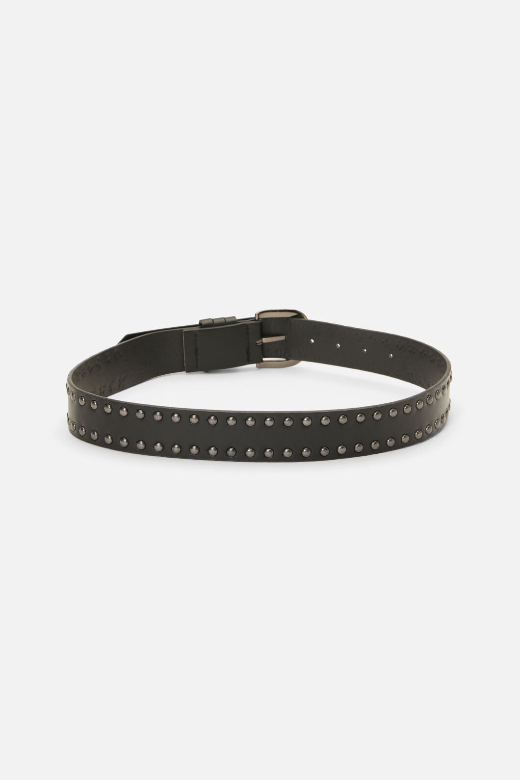 Dangerfield - Round Stud Belt - black