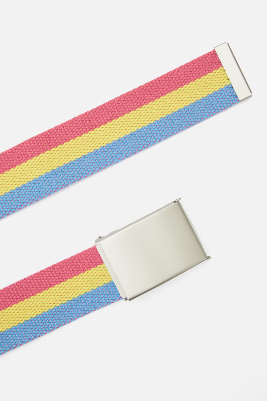 Dangerfield - Pride Belt Pansexual - multi