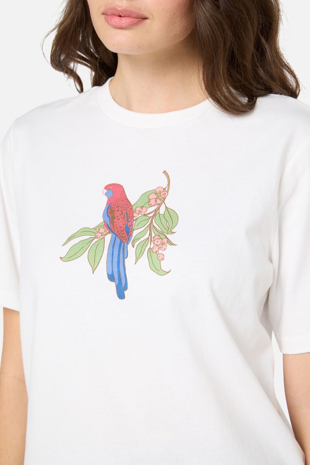 Princess Highway - Rosella Printed Relaxed Tee - cream