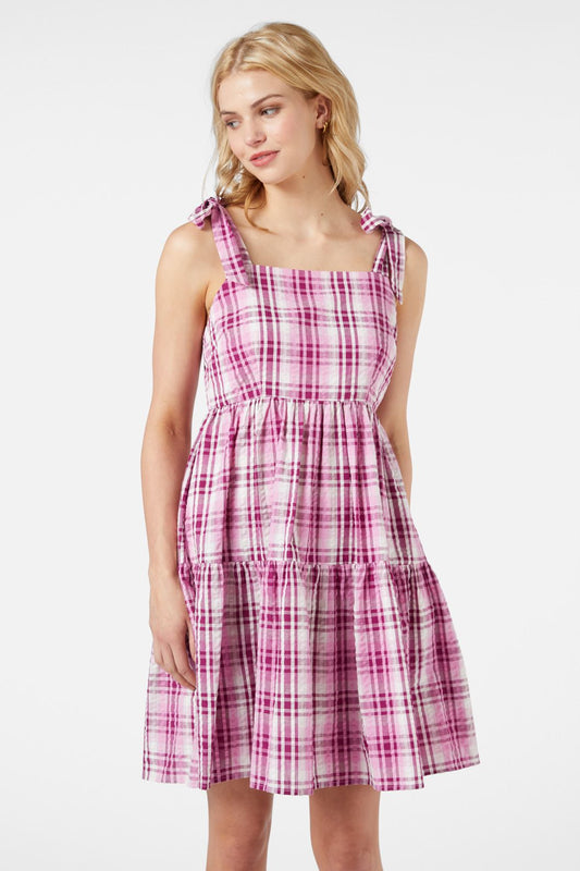 Princess Highway - Andie Check Sundress - berry
