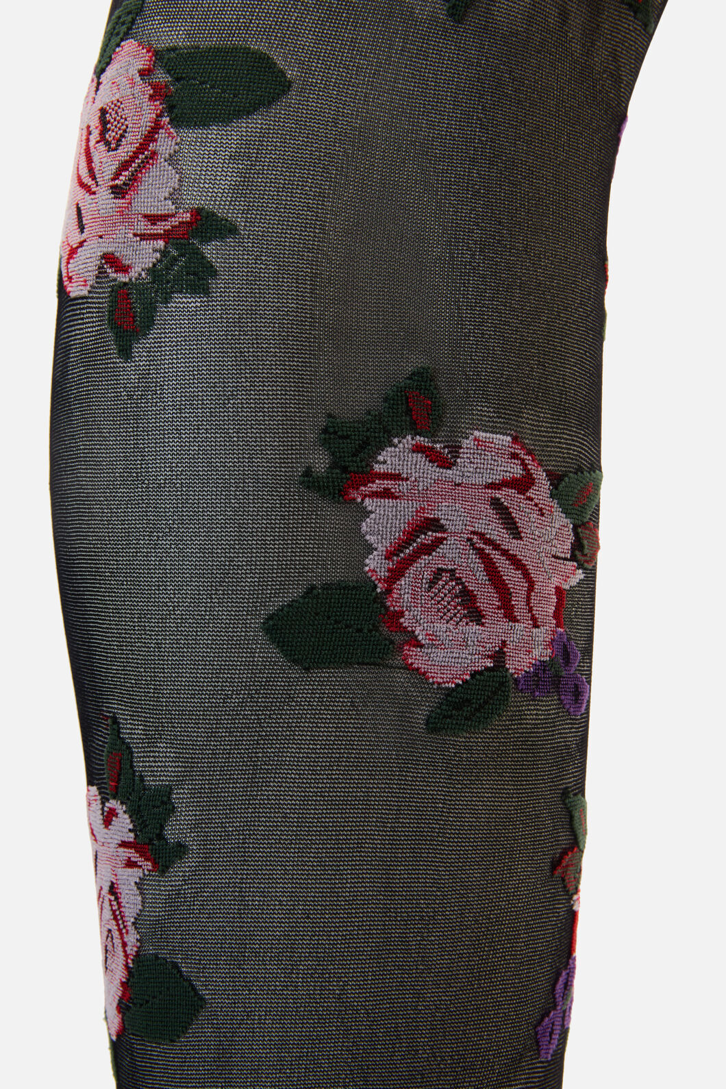 Princess Highway - Black Sheer Roses Tights - black