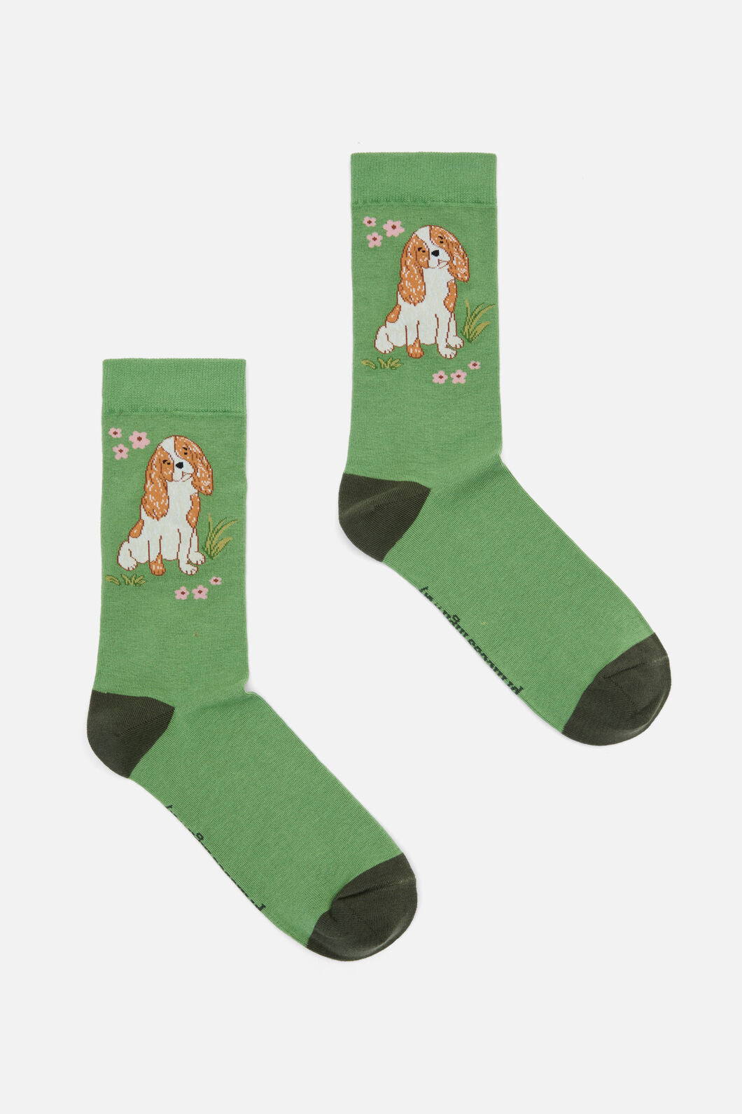 Princess Highway - Dogs Sock - green