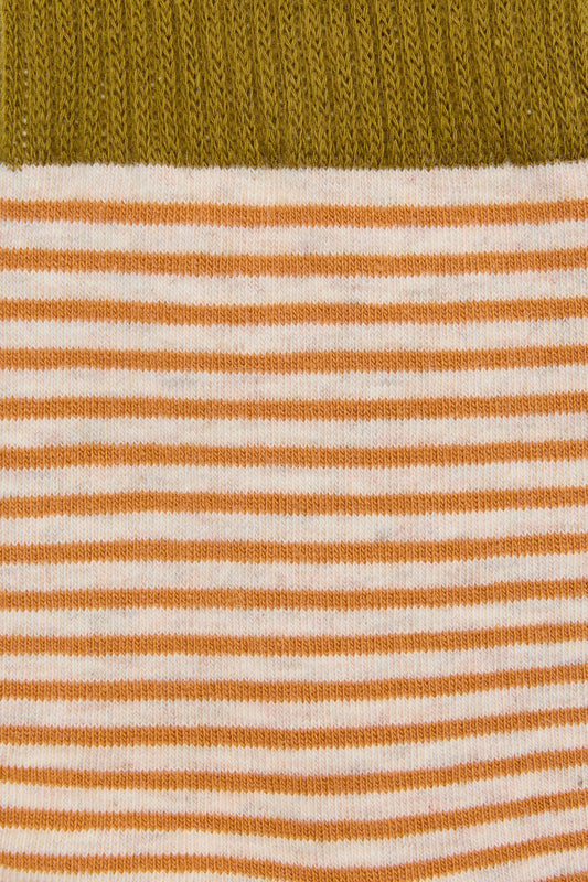 Princess Highway - Tan Thin Stripe Sock - tan