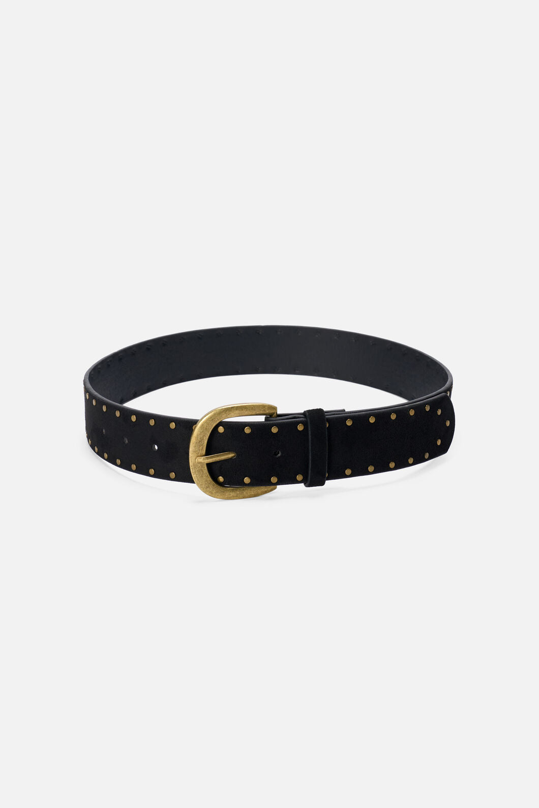 Princess Highway - Stud Belt - black