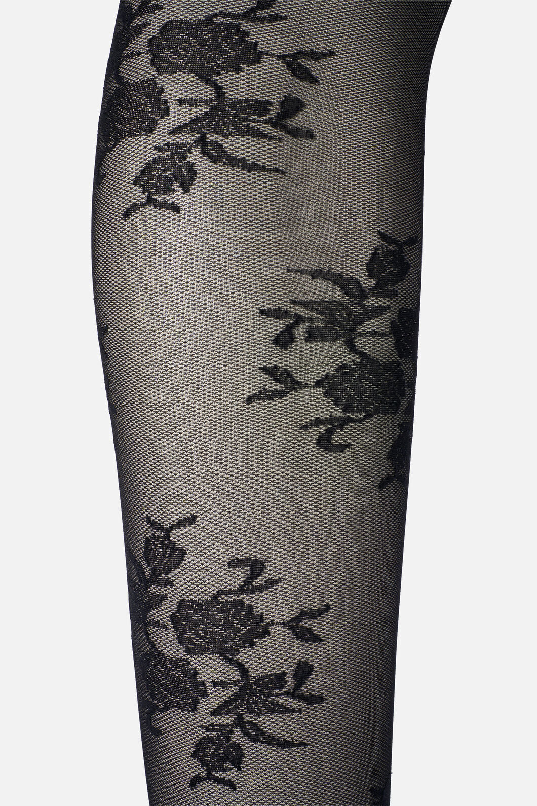 Princess Highway - Black Roses Sheer Tights - black