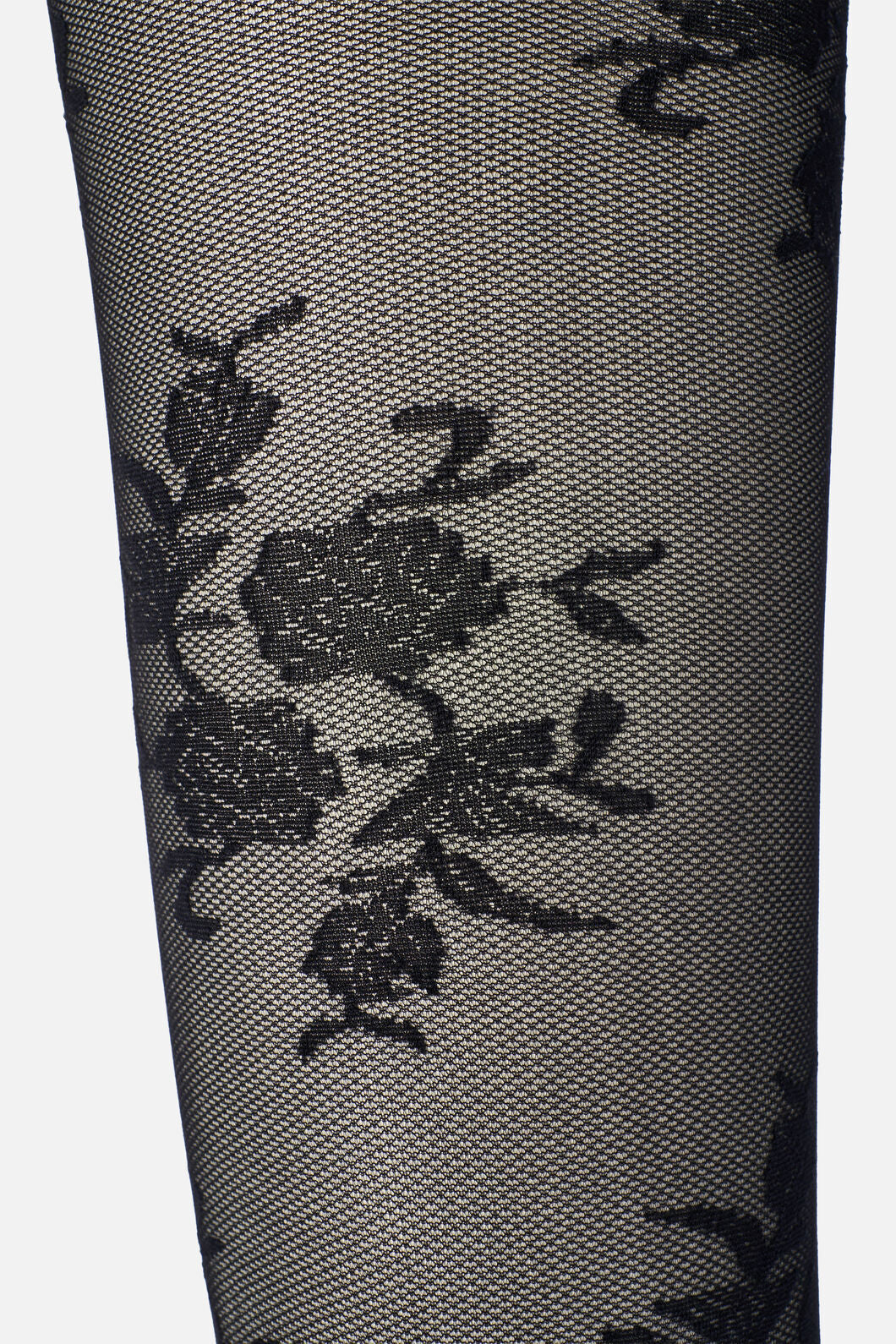 Princess Highway - Black Roses Sheer Tights - black