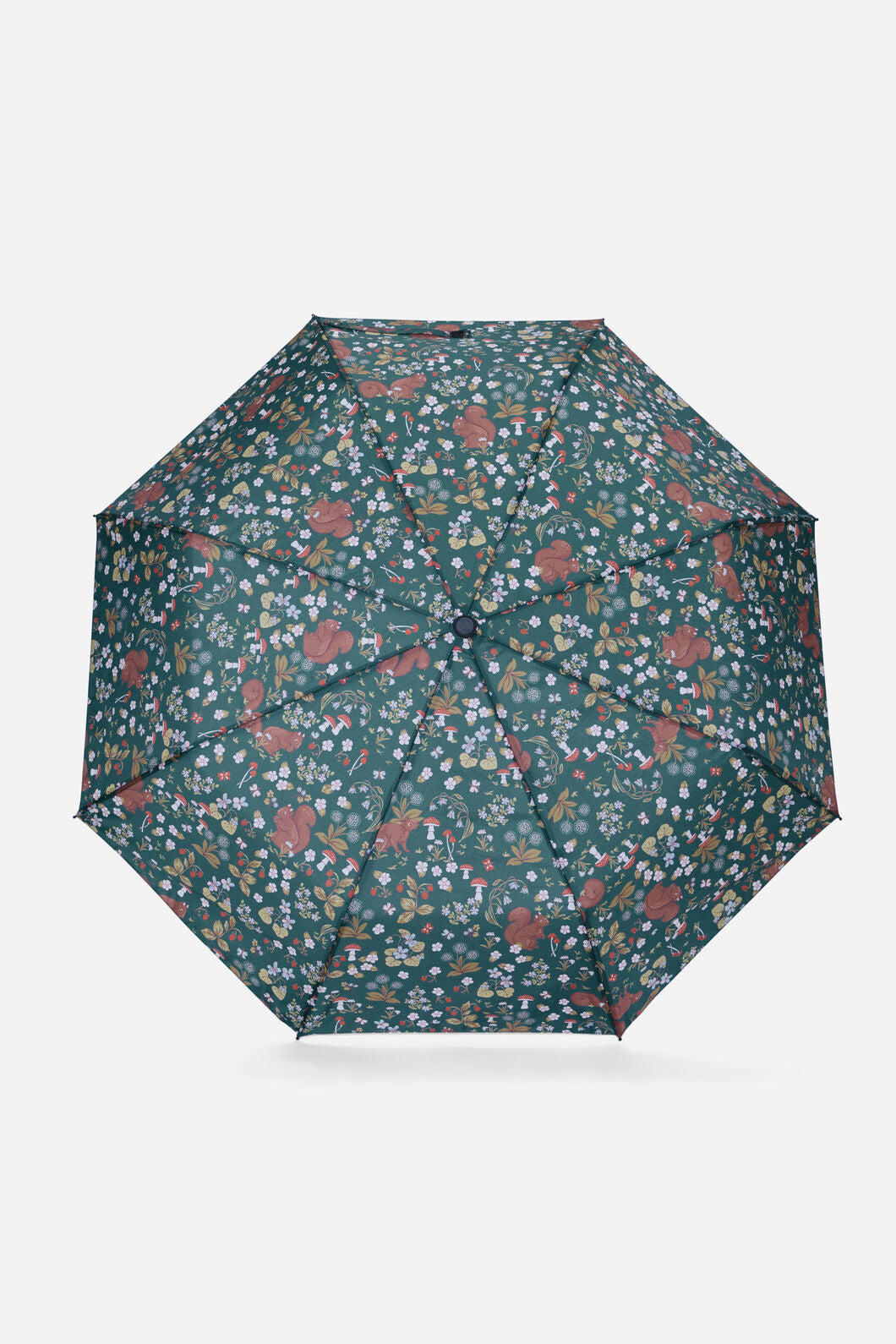 Princess Highway - Squirrel Umbrella - green
