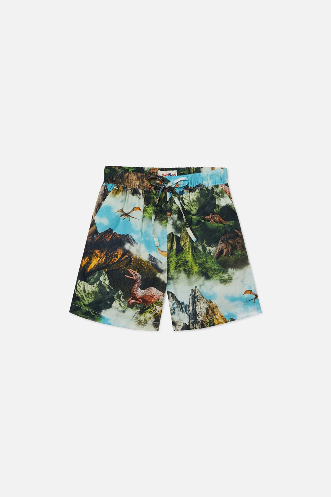 Dangerkids - Triassic Kids Shorts - print