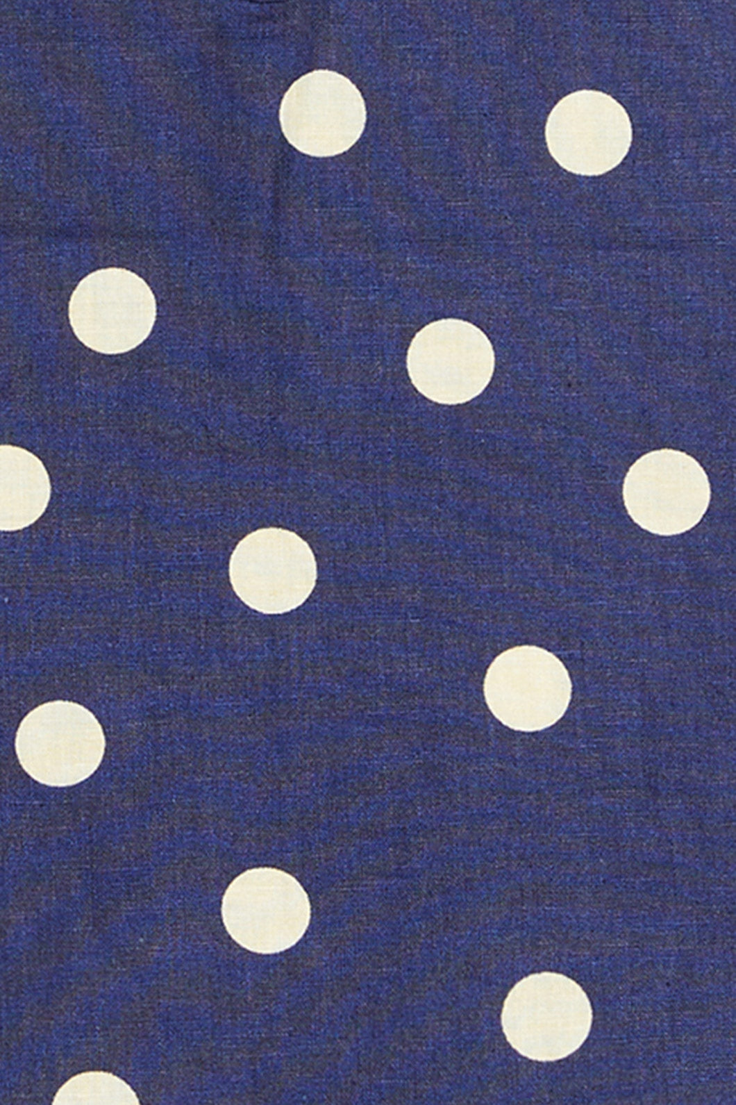 Princess Highway Kids - Primrose Spot Top - navy