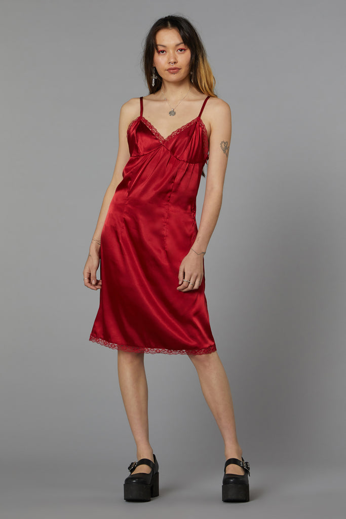 Bed Of Roses Dress Dangerfield