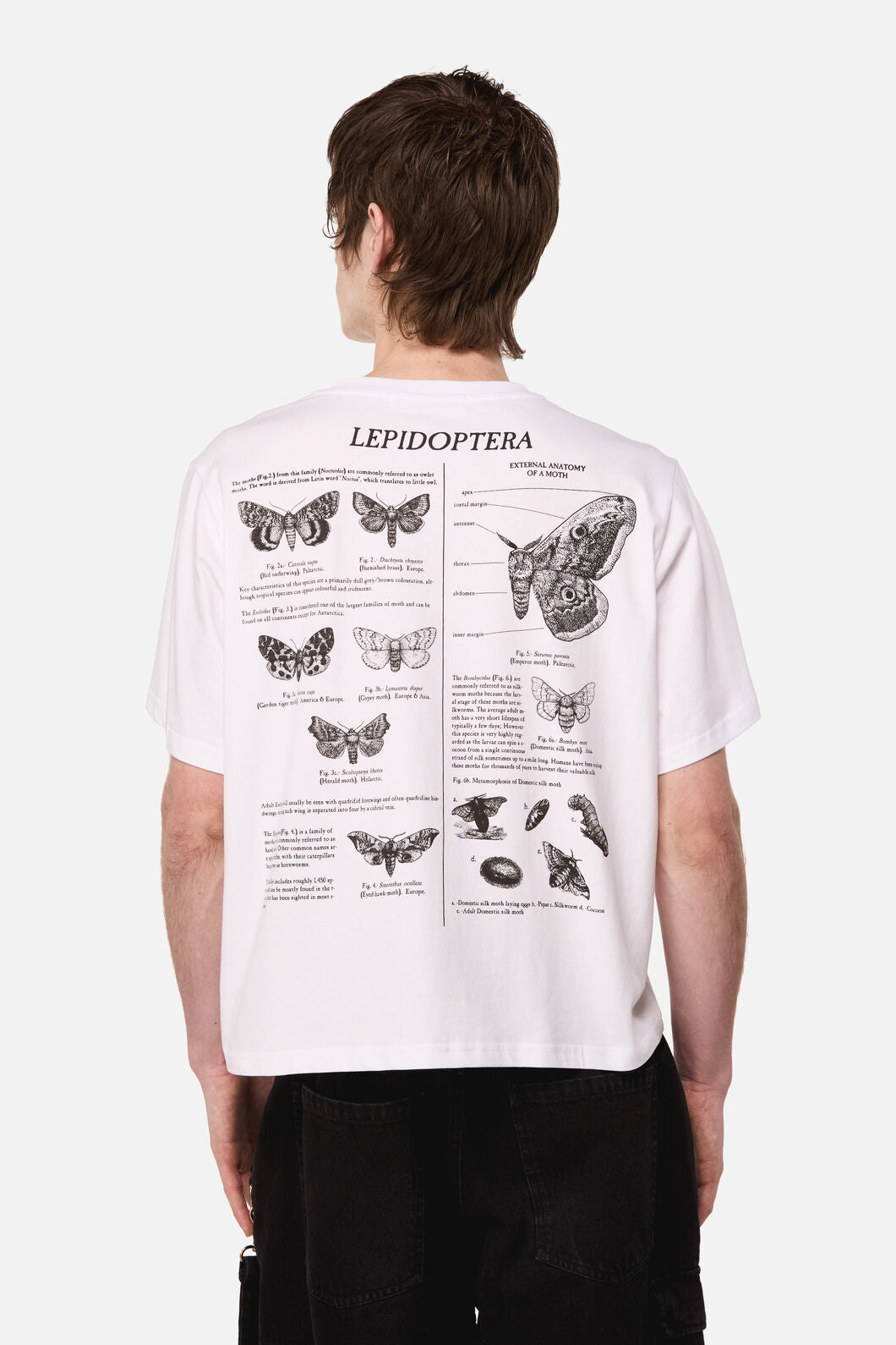 Black Friday - Butterfly Scientific Tee - white