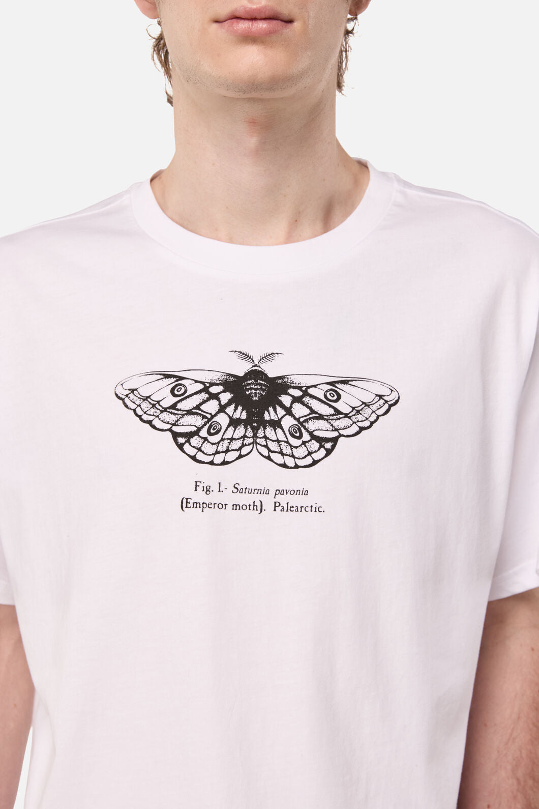 Black Friday - Butterfly Scientific Tee - white