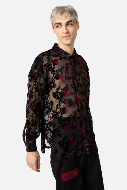 Black Friday - Lush Burnout Velvet LS Shirt - black