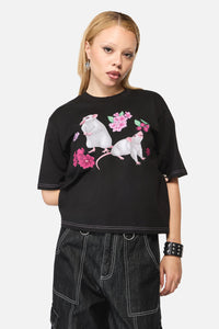 Black Friday - Rat-A-Tat Witchy Tee - black