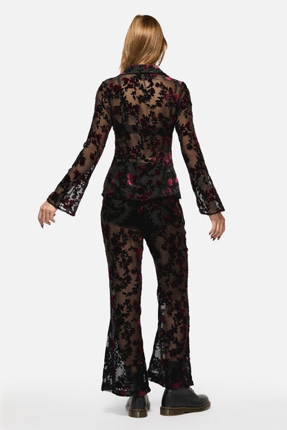 Black Friday - Lush Burnout Velvet Blouse - multi