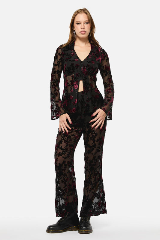 Black Friday - Lush Burnout Velvet Blouse - multi