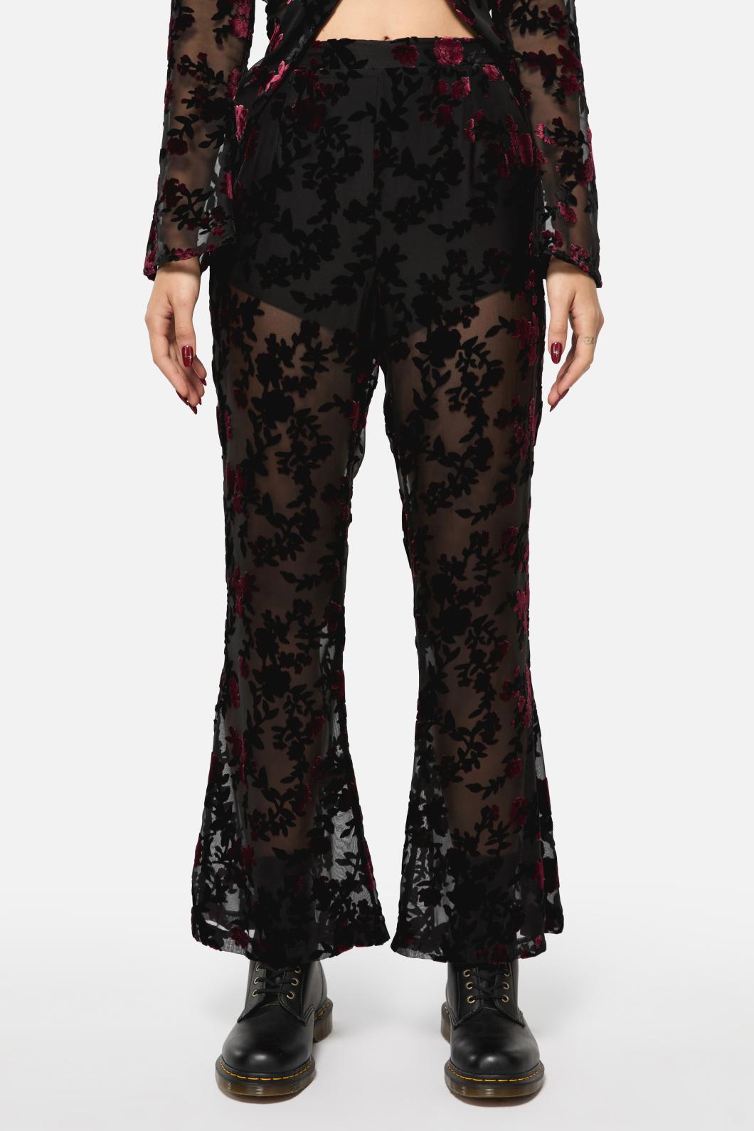 Black Friday - Lush Burnout Velvet Pants - multi