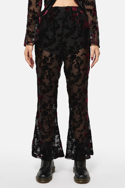 Black Friday - Lush Burnout Velvet Pants - multi