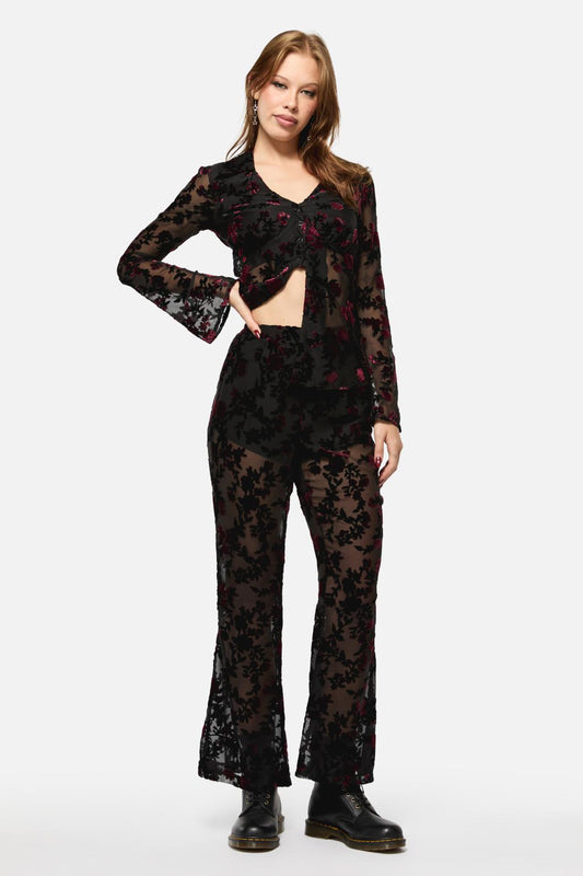 Black Friday - Lush Burnout Velvet Pants - multi