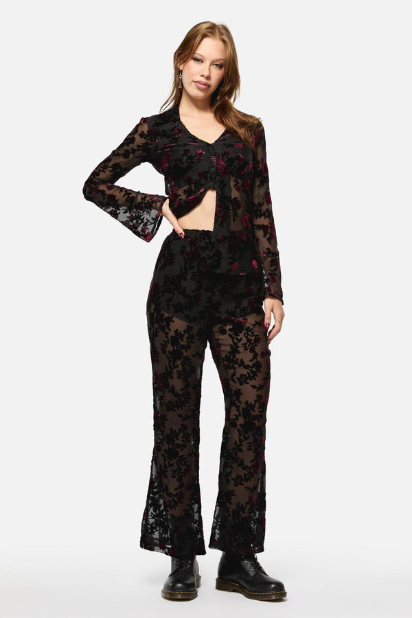 Black Friday - Lush Burnout Velvet Pants - multi