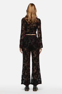 Black Friday - Lush Burnout Velvet Pants - multi
