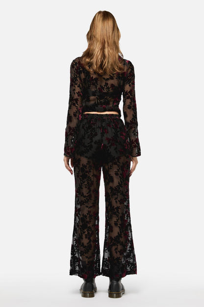 Black Friday - Lush Burnout Velvet Pants - multi