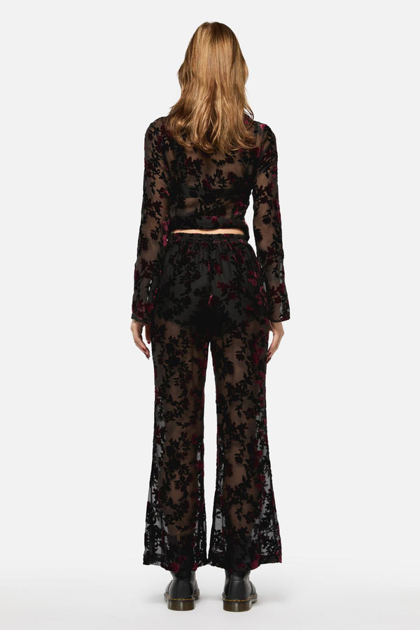 Black Friday - Lush Burnout Velvet Pants - multi