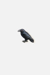 Black Friday - Red Eye Raven Pin - gunmetal