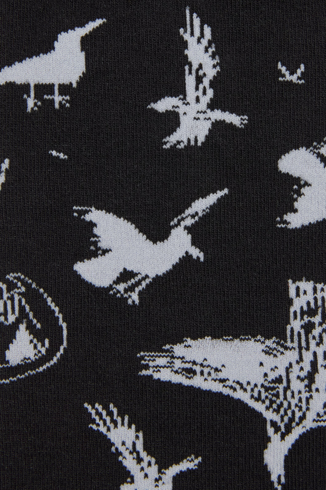 Black Friday - Corbeau Socks - black