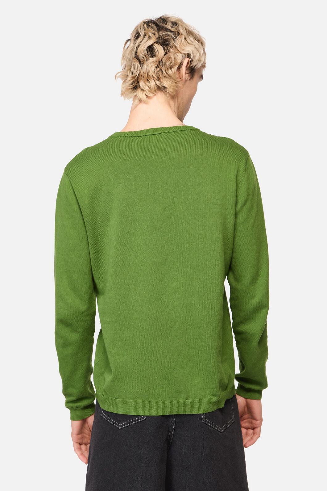 Dangerfield - Insect Obsessed Cable Knit Jum - green