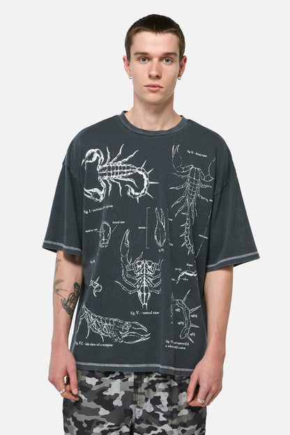 Dangerfield - Scorpius Goth Unisex Tee - grey