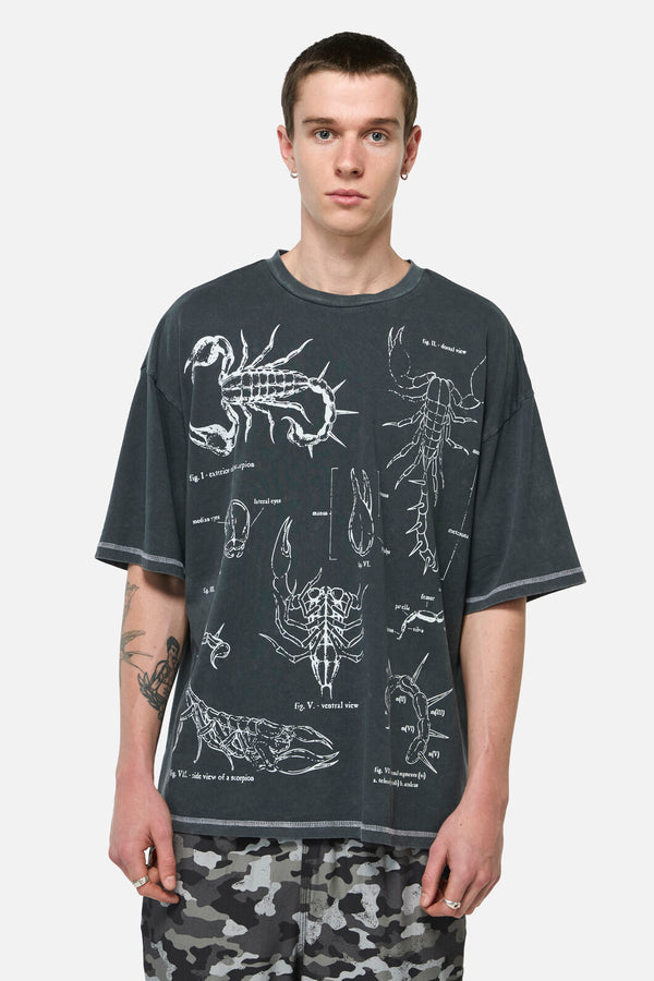 Dangerfield - Scorpius Goth Unisex Tee - grey