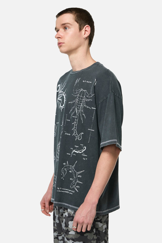 Dangerfield - Scorpius Goth Unisex Tee - grey