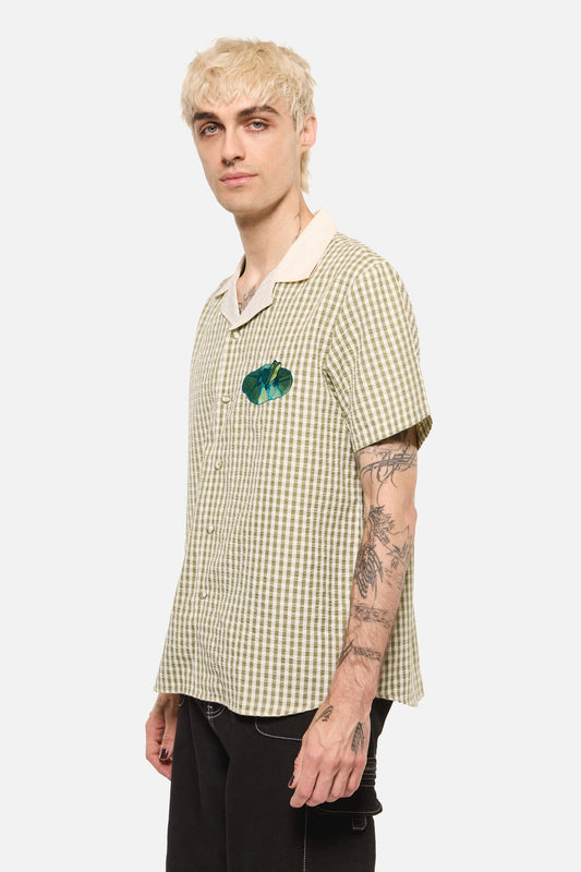 Dangerfield - Cottagecore Gingham Collar Shirt - green-cream