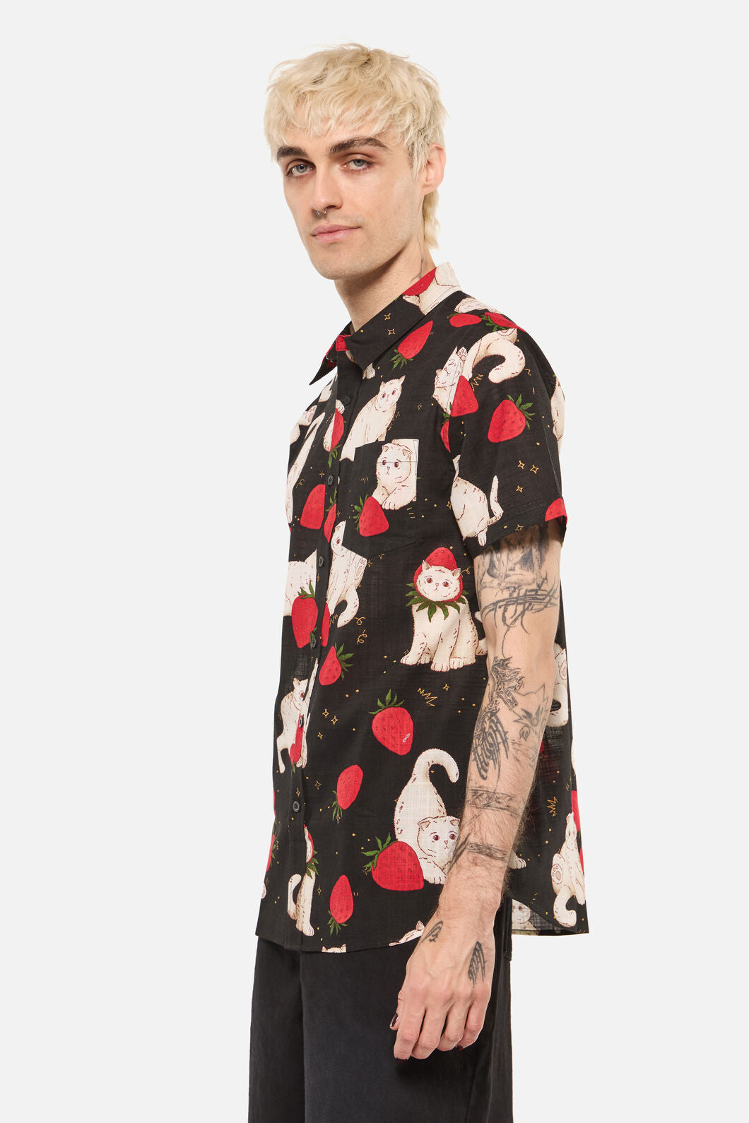 Dangerfield - Strawberry Cats SS Shirt - black