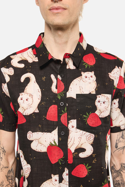 Dangerfield - Strawberry Cats SS Shirt - black