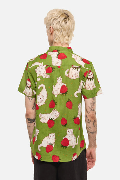 Dangerfield - Strawberry Cats SS Shirt - green