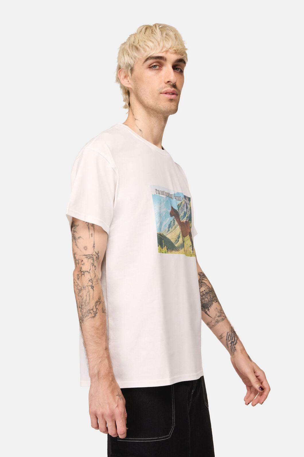 Dangerfield - Not Horsing Around Tee - white
