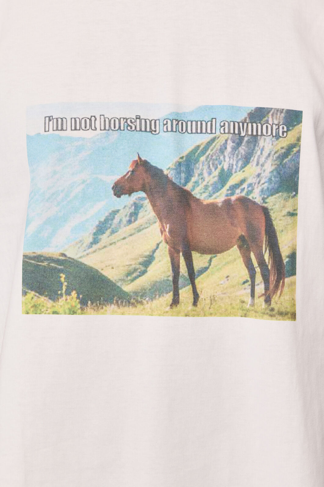 Dangerfield - Not Horsing Around Tee - white
