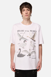 Dangerfield - Swan Species Tee - white