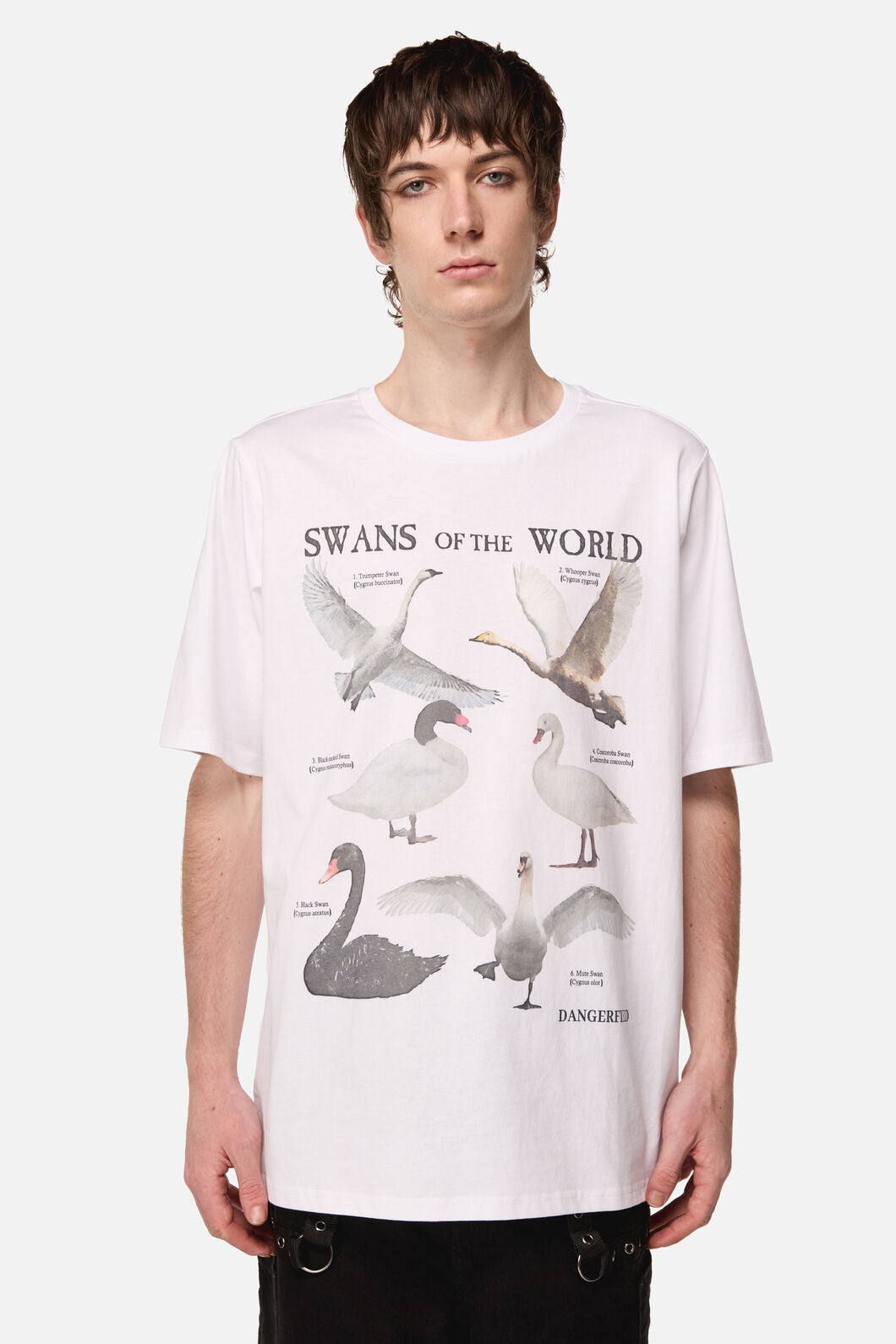 Dangerfield - Swan Species Tee - white