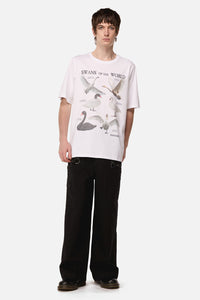 Dangerfield - Swan Species Tee - white
