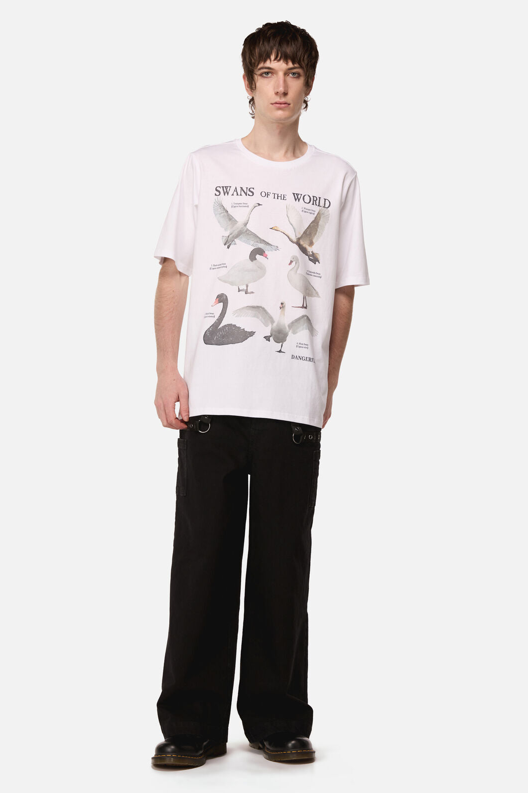 Dangerfield - Swan Species Tee - white