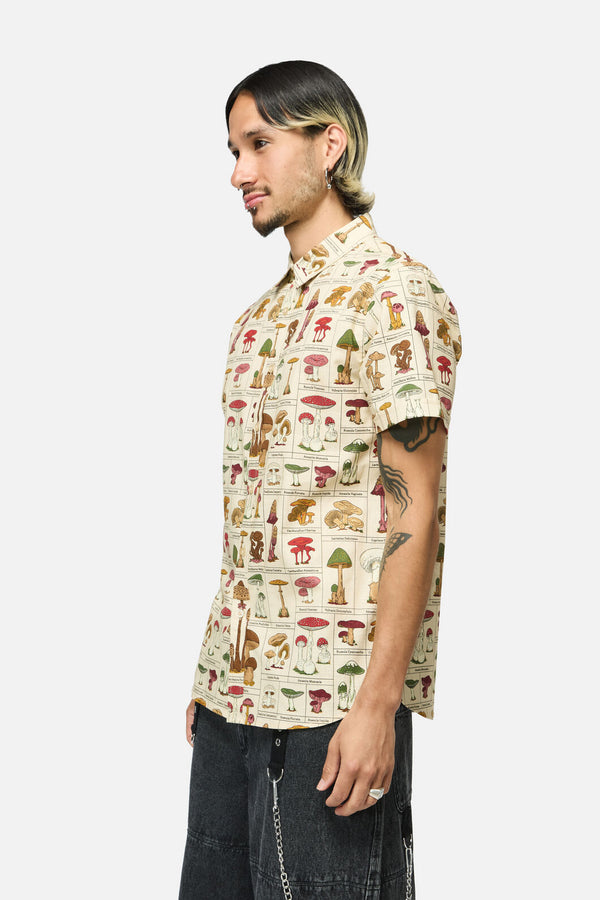 Dangerfield - Fungus SS Shirt - cream